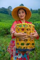 a tea leaf farmer is enjoying the view of the tea garden while holding a basket photo