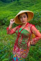 un té hoja granjero participación un bambú sombrero mientras trabajando en el té jardín foto