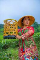 un té hoja granjero posando con un bambú cesta en su manos temprano foto