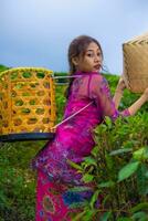 un vietnamita niña es en pie en el medio de un té jardín mientras que lleva un bambú cesta y participación un bambú sombrero foto