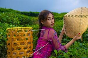 un vietnamita niña es en pie en el medio de un té jardín mientras que lleva un bambú cesta y participación un bambú sombrero foto