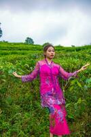 an Asian woman in a pink dress is standing in front of a tea garden photo