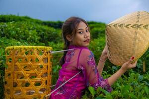 un vietnamita niña es en pie en el medio de un té jardín mientras que lleva un bambú cesta y participación un bambú sombrero foto