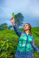 a tea garden farmer is posing beautifully in the middle of green tea leaves photo