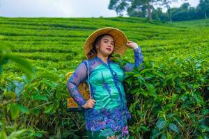 an Asian farmer wearing a hat made of bamboo while in the middle of a tea plantation photo