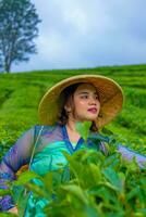 an Asian teenager is learning to carry a bamboo basket while in the middle of a tea garden photo