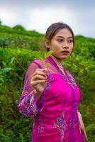 an Asian woman in a pink dress is standing in front of a tea garden photo