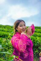 an Asian woman in a traditional pink costume is standing very elegantly in a tea plantation photo