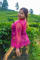 an Asian woman in a pink costume is posing in front of a tea plantation photo