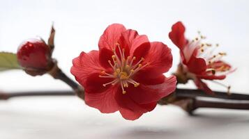 Beautiful close up a branch of a pink cherry blossom flower or Sakura flower dark background. AI Generated photo