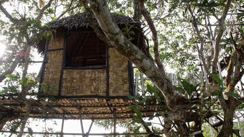 tradicional de punto tejido bambú con paja techo árbol casa o choza construir Entre dos árbol. ai generado foto
