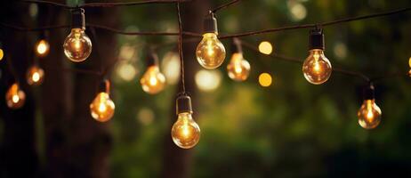 Colorful light bulb garland photo