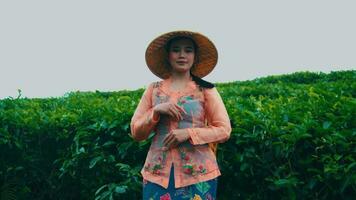 un asiatique femme permanent dans de face de une thé jardin tandis que portant une traditionnel chapeau video