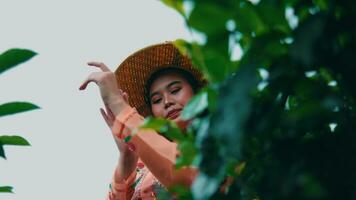 an Asian woman standing in front of a tea garden while wearing a traditional hat video