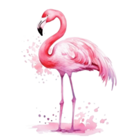 aguarela Rosa flamingo isolado png