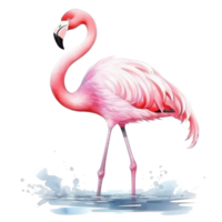 vattenfärg rosa flamingo isolerat png