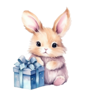 Cute watercolor bunny with gift box png