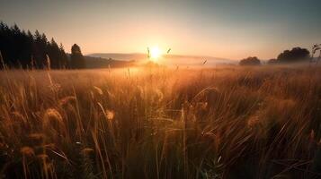 Landscape of grasslands and some trees with sunset in the evening golden hour and mountains in the background. photo