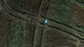 an aerial view of a woman in a field video