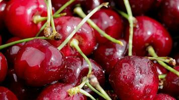 doce vermelho cerejas estão ser pulverizado com frio água. lento deslizante movimento. video