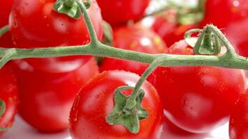 Closeup of fresh cherry tomatoes. Sliding movement video