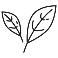 Linden Autumn Flora Outline 2D Illustration png