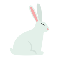 Sitting Bunny Easter Color 2D Illustrations png