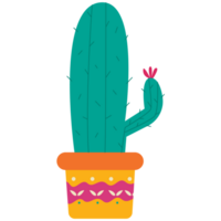 Cactus Cinco De Mayo Color 2D Illustrations png