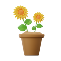 Sun Flower Plant 3D Illustrations png