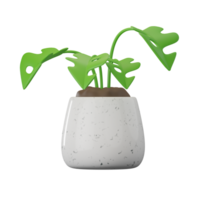 Monstera Plant 3D Illustrations png