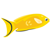 Belgianyellow Fish 2D Color Illustrations png