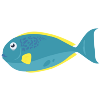 cabeza azul pescado 2d color ilustraciones png