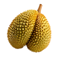 durian fruit isolated on transparent background ,realistic illustration durian png ,generative ai