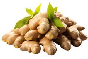 ginger plant isolated on transparent background ,ginger root ,generative ai png