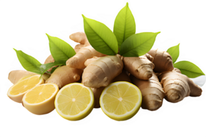 ginger plant isolated on transparent background ,ginger root ,generative ai png