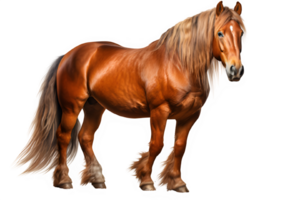 horse isolated on transparent background ,stallion realistic illustration ,generative ai png