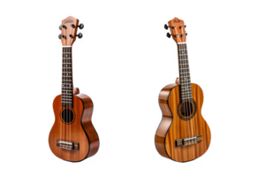 ukulele isolato su trasparente sfondo ,mini chitarra isolato su trasparente sfondo png