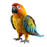 parrot bird isolated on transparent background ,bird full color cut out ,generative ai png