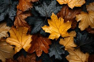 view of various variations of autumn leaves top view ,background dry leaves ,generative ai photo