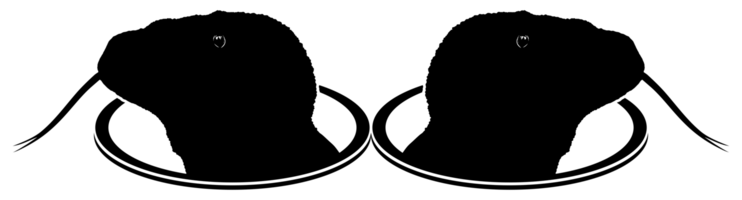 Komodo Dragon Arise from Hole Circle for Logo Type, Art Illustration, Pictogram, Website, or Graphic Design Element. Format PNG