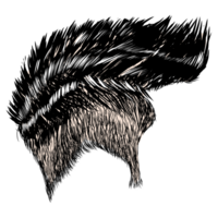 Illustration of black undercut hair png