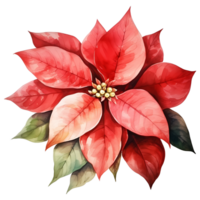 Christmas bouquet with poinsettia, holly and berries. Watercolor illustration AI Generative png