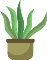 plante d'appartement dans une pot png