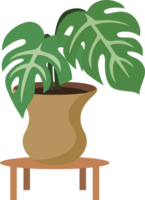 Houseplant in a pot png