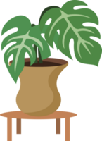 plante d'appartement dans une pot png