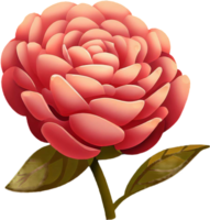 Orange Rose Isolated png