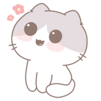 Baby cute cat png