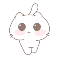 Baby cute cat png