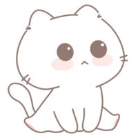 Baby cute cat png