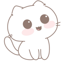 Baby cute cat png